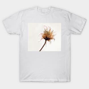 Bad Hair Day T-Shirt